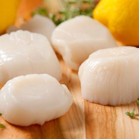 The Sauce in This Rich, Filling Scallop Dish Could "Make a Piece of Cardboard Delicious"