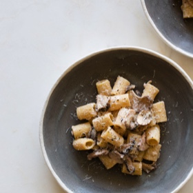 Mezzi Rigatoni with a Wild Mushroom Cream Sauce