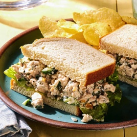 Yogurt-Tahini Chicken Salad with Cucumbers and Preserved Lemon