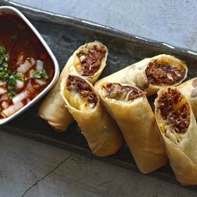 Birria Quesa Spring Rolls