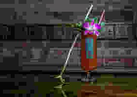 Festivus Miracle